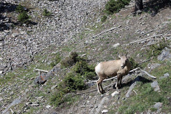 Banff2019-023