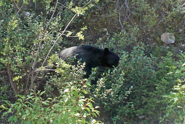 Banff2019-065