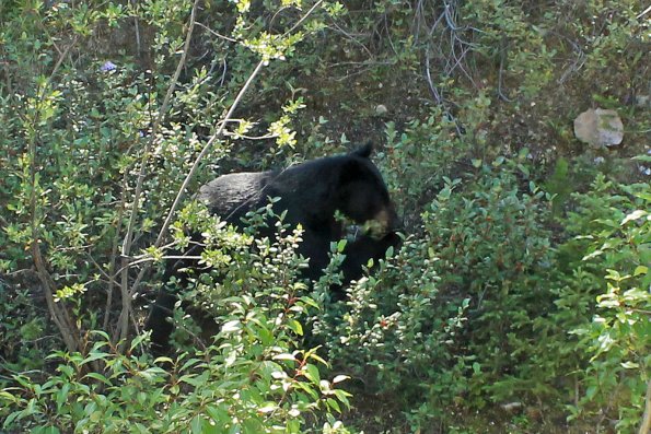 Banff2019-066