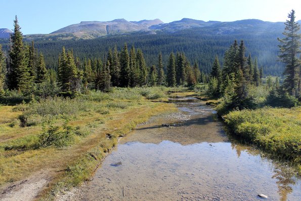 Banff2019-075