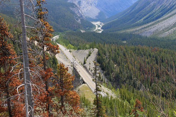 Banff2019-098