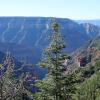 GrandCanyon2017_001