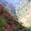 GrandCanyon2017_012