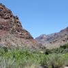 GrandCanyon2017_041