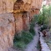 GrandCanyon2017_046