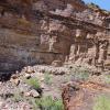 GrandCanyon2017_047