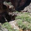 GrandCanyon2017_051