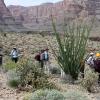 Havasupai_2019-010