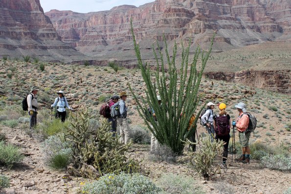 Havasupai_2019-010