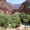 Havasupai_2019-028