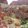 Havasupai_2019-042