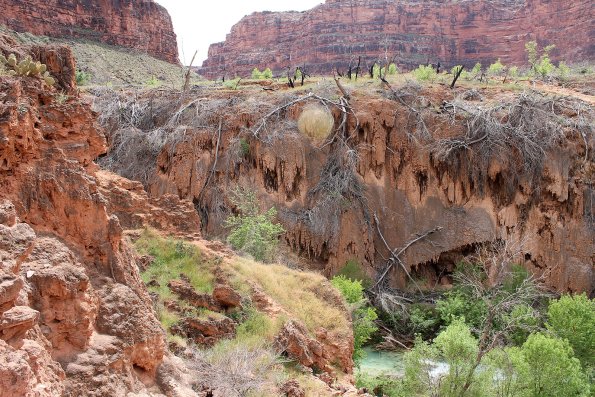 Havasupai_2019-042