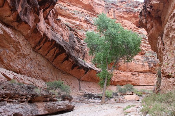 Havasupai_2019-056