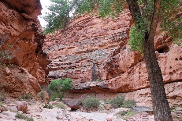 Havasupai_2019-057