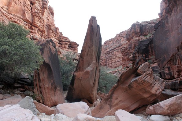 Havasupai_2019-062