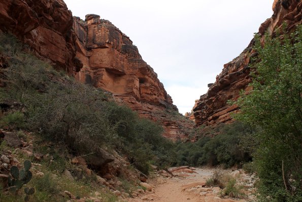 Havasupai_2019-063