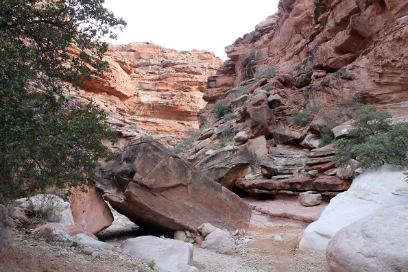 Havasupai_2019-066