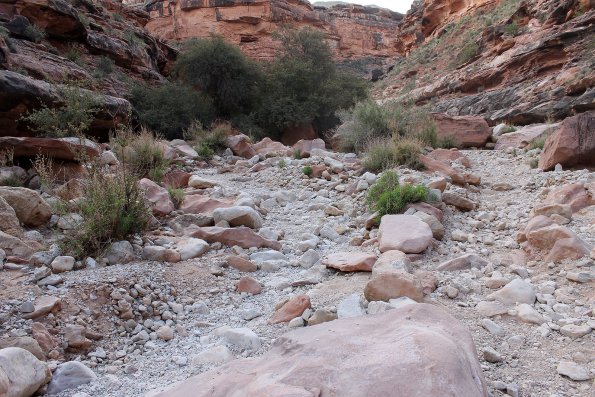 Havasupai_2019-073