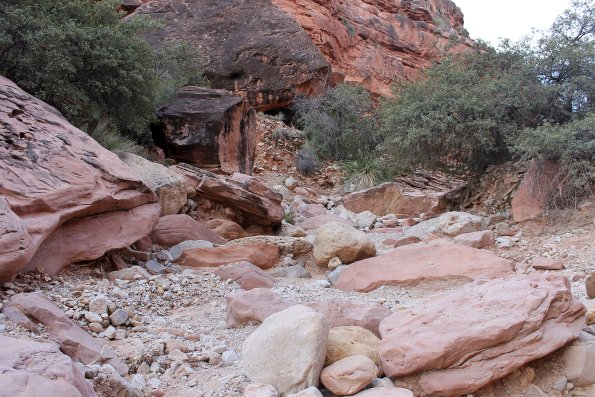 Havasupai_2019-078