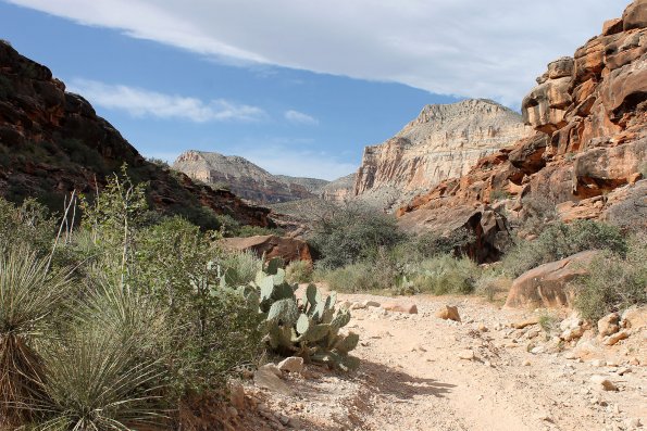 Havasupai_2019-095