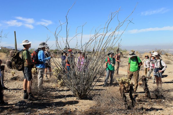 SuperstitionMountains_001