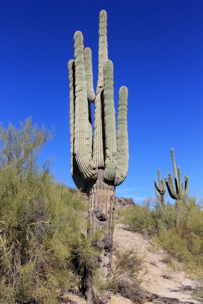 SuperstitionMountains_002