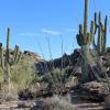 SuperstitionMountains_004