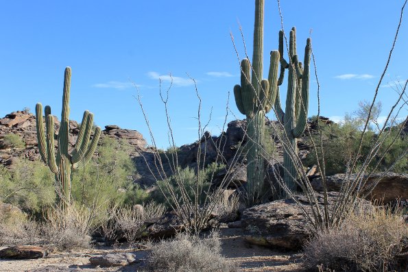 SuperstitionMountains_004