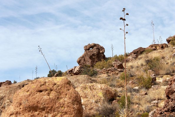 SuperstitionMountains_015