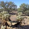 SuperstitionMountains_038