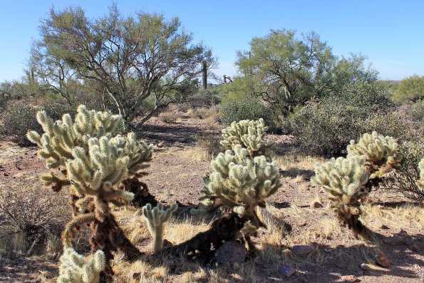 SuperstitionMountains_038