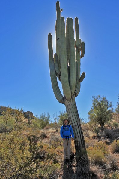 SuperstitionMountains_041