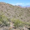 SuperstitionMountains_042