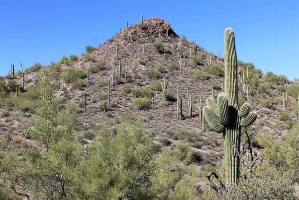 SuperstitionMountains_043