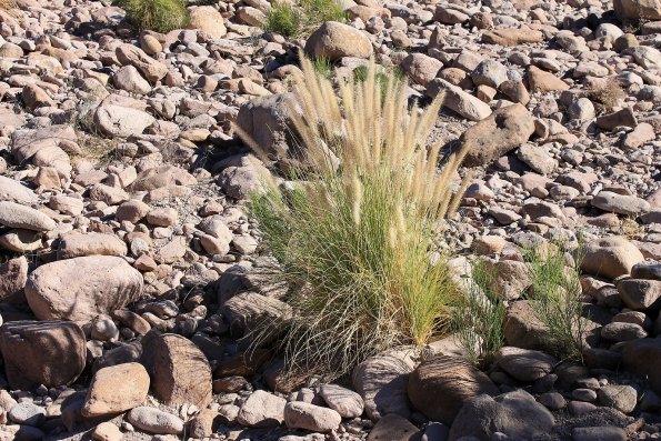 SuperstitionMountains_050