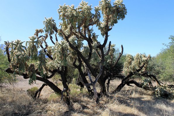 SuperstitionMountains_053