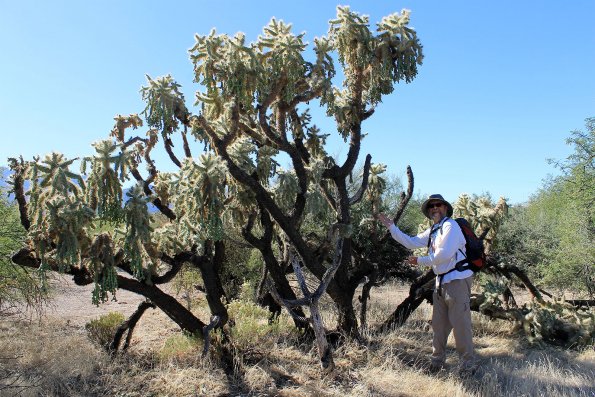 SuperstitionMountains_054