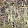 SuperstitionMountains_056