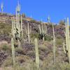 SuperstitionMountains_057