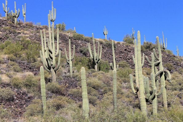 SuperstitionMountains_057