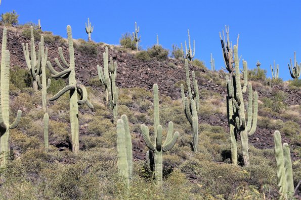 SuperstitionMountains_058