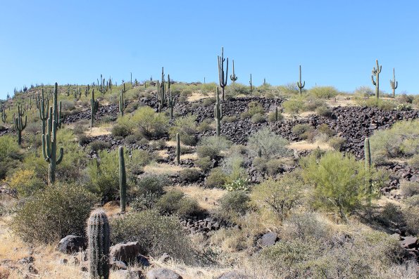 SuperstitionMountains_059