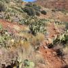 SuperstitionMountains_095