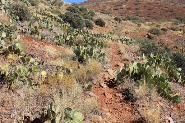 SuperstitionMountains_095